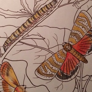 Day 36: Detail from "Coloring Butterflies" (Arcturus)